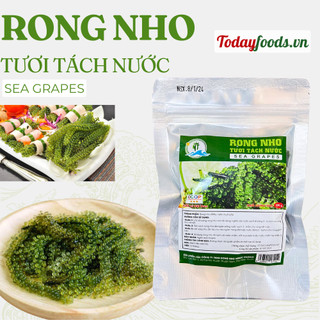 RONG NHO Tách Nước gói 100G [Nở được 300G Rong Nho Tươi] | Nhai Giòn bụp đã miệng