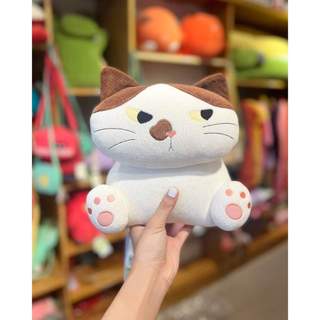 Doll mèo ngồi mắc liếc hikosen cara