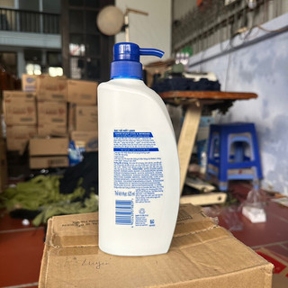 Dầu gội Head & Shoulder bạc hà mát lạnh 625ml (hàng việt)