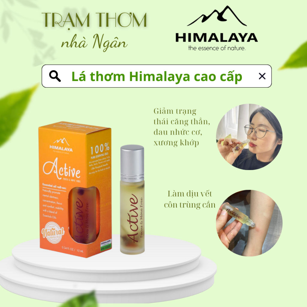 Tinh dầu lăn Active Himalaya (Focus & move free)