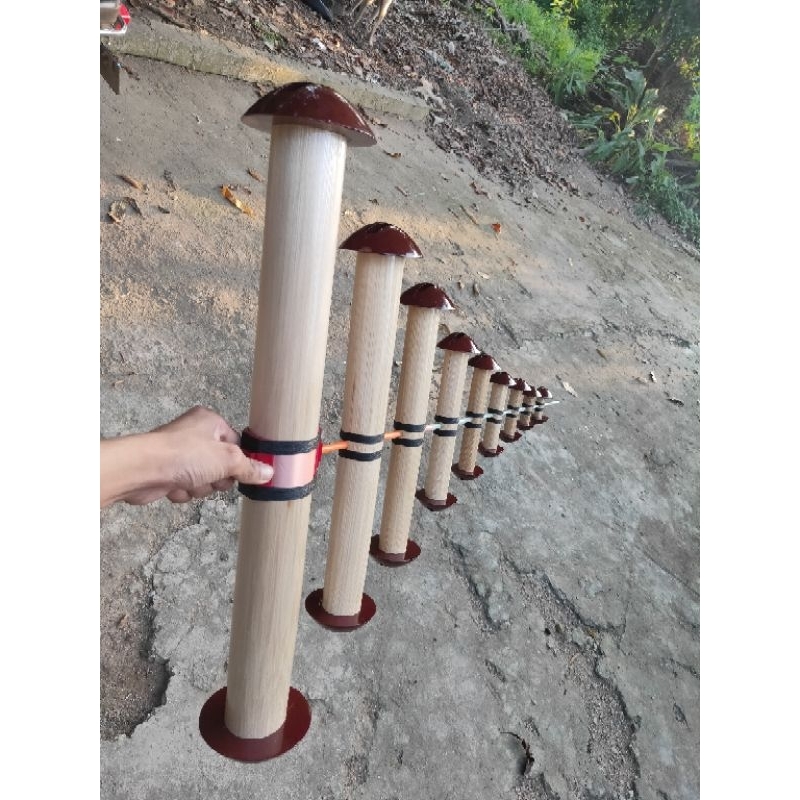 Sáo diều hòa âm D55hàng nét