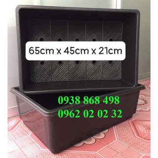 Combo 10 Chậu / Khay nhựa trồng rau 65x45x21cm đen