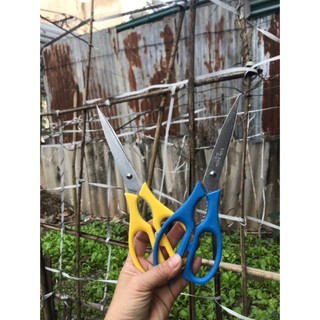 kéo cắt đa năng, kéo cắt ớt
