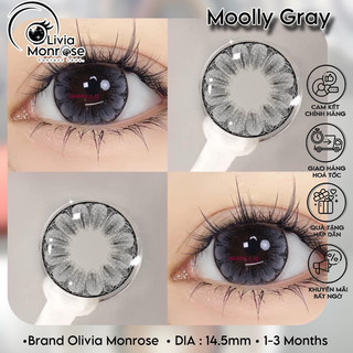 Mẫu lens Hoa Xám