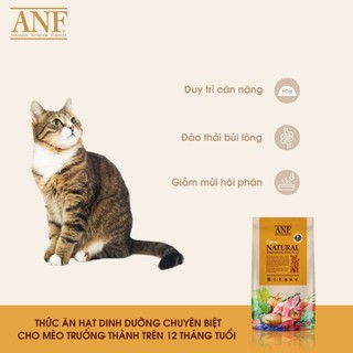 (400G) THỨC ĂN HẠT CHO MÈO ANF 6FREE INDOOR