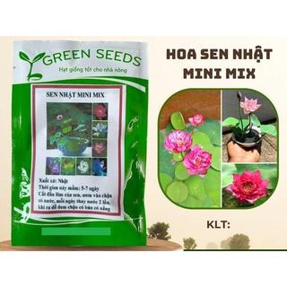 GÓI 5 HẠT SEN NHẬT MINI 5 MÀU KHÁC NHAU