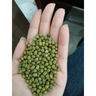 1 kg Đậu xanh hạt tiêu làm giá đỗ rau mầm loại nguyên hạt và tách hạt