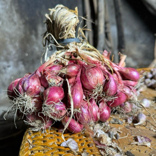 Hành đỏ giống cồ - 1kg