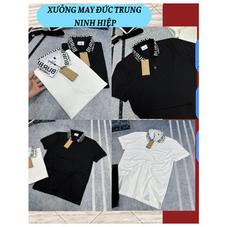 Áo polo thời trang bbr họa tiết bbr cổ áo