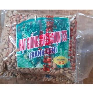 1kg hạt giống cà phê xanh lùn