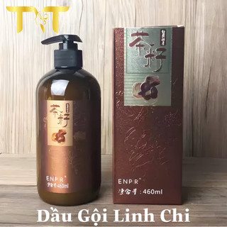 Dầu gội linh chi || Dầu gội đầu dưỡng sinh 460ML