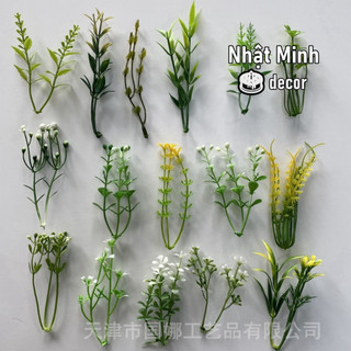 100gamr cỏ móc - cỏ điểm trang trí hoa