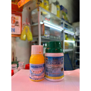 combo 2 lọ (thuốc diệt muỗi boxe singapo 500EC 100ml + thuốc diệt muỗi Fendona 10SC 50ml)