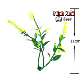 100g cỏ điểm móc