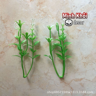 100g cỏ điểm móc