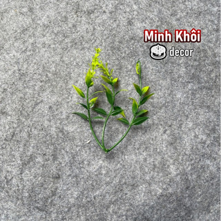 100g cỏ điểm móc