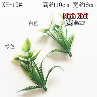 100g cỏ điểm móc