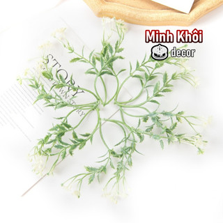 100g cỏ điểm móc