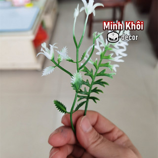 100g cỏ điểm móc