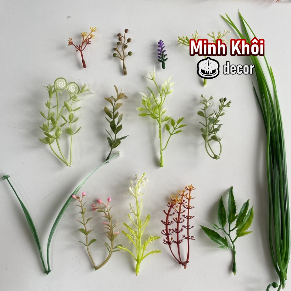 100g cỏ điểm móc