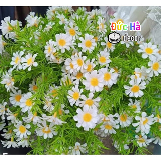 100gram CÚC HỌA MI ( cúc tanna ) đủ màu- điểm hoa,giỏ hoa ,giỏ quà
