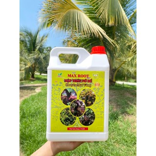 Phân bón max root – mập thân nở để chuyên mai vàng can 5l