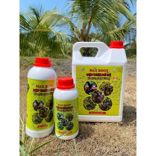 Phân bón max root – mập thân nở để chuyên mai vàng chai 500ml, 1l