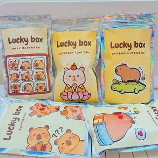 Túi CAPYBARA LUCKY BOX đồ dùng học tập ngẫu nhiên, túi mù Blindbox, túi quà tặng