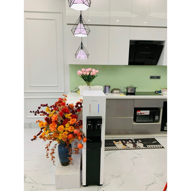 Máy lọc nước Coway HARRY (CHP-590R)