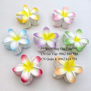 Combo 10 cái: kẹp hoa sứ màu hot mới về, size 8cm