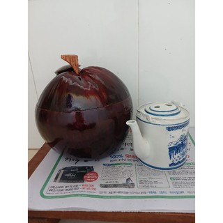 Vỏ Ủ Bình Trà Trái Dừa ( Vừa ấm 750ml)