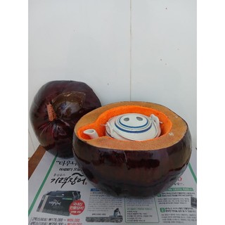 Vỏ Ủ Bình Trà Trái Dừa ( Vừa ấm 750ml)
