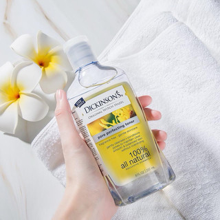 Toner Dickinson’s Original Witch Hazel Pore Perfecting 473ml