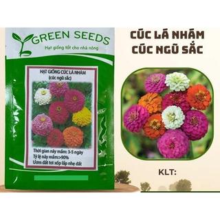 HẠT GIỐNG CÚC LÁ NHÁM ( CÚC BẢY MÀU) GÓI 40 HẠT