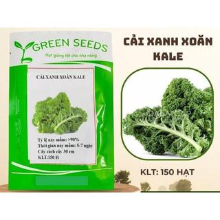 HẠT GIỐNG CẢI XOĂN KALE 150 HẠT