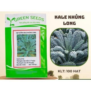 HẠT GIỐNG CẢI XOĂN KALE LÁ DÀI GÓI 100 HẠT