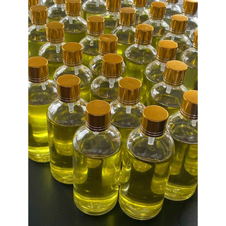 Tinh Dầu Tràm Huế Nguyên Chất (100ml)
