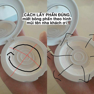 PHẤN NỤ GONBE