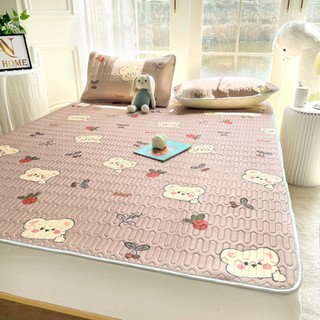 Chiếu điều hòa cao su non latex 4D