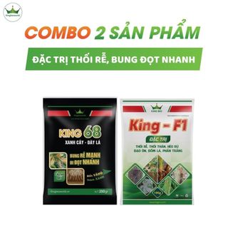 Combo King 68, King F1 kích rễ cực mạnh, bung đọt nhanh chóng, đặc trị vàng lá thối rễ
