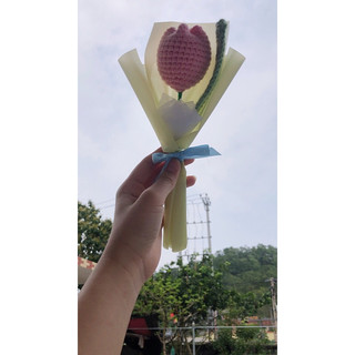 tulip len🌷🌷