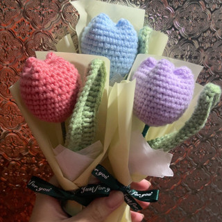 tulip len🌷🌷