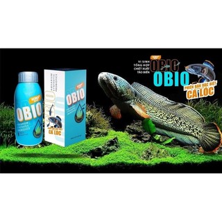 Men Vi Sinh KoiKa | Men Vi Sinh Obio Cao Cấp phiên Bản Cá Lóc 30 - 130 -300ml