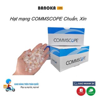 Hạt Mạng Rj45 Commscope Cat5 - Hộp 100 Hạt (Hạt AMP Chính Hãng, Chân Đồng 100%-Chống Oxy hóa