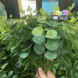 Combo 1Kg CÀNH LÁ TÁO RỜI mốc PHỤ KIỆN BÓ HOA