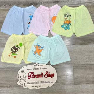 Quần đùi cotton in gấu 2024,quần đùi cotton cho bé