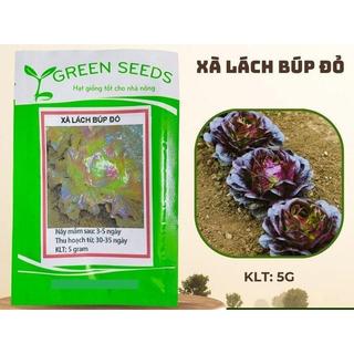 Hạt giống rau xà lách tím cuộn gói 5gram