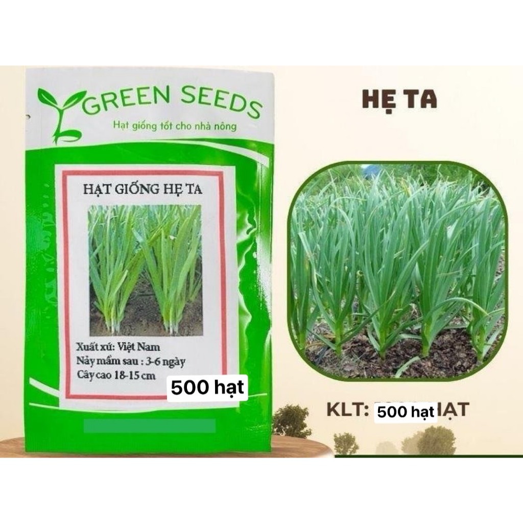HẠT GIỐNG RAU HẸ TA  5gr