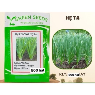 HẠT GIỐNG RAU HẸ TA  ( 500 hạt )