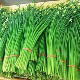 Hạt giống rau Hẹ Bông ( hẹ ngồng )